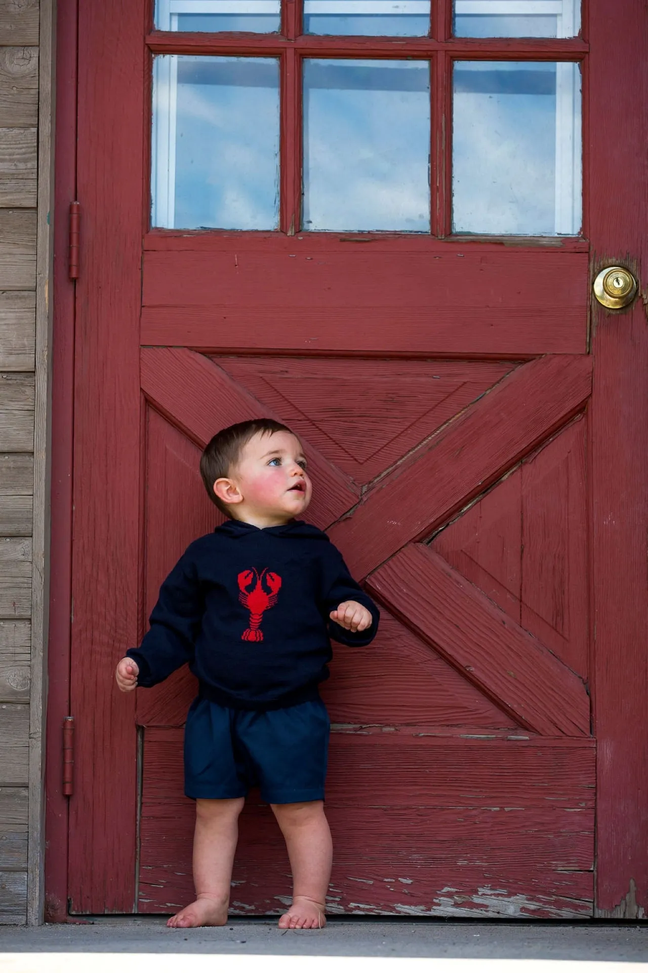 20044-Kickin Crawfish Zip Back Navy Baby Sweater