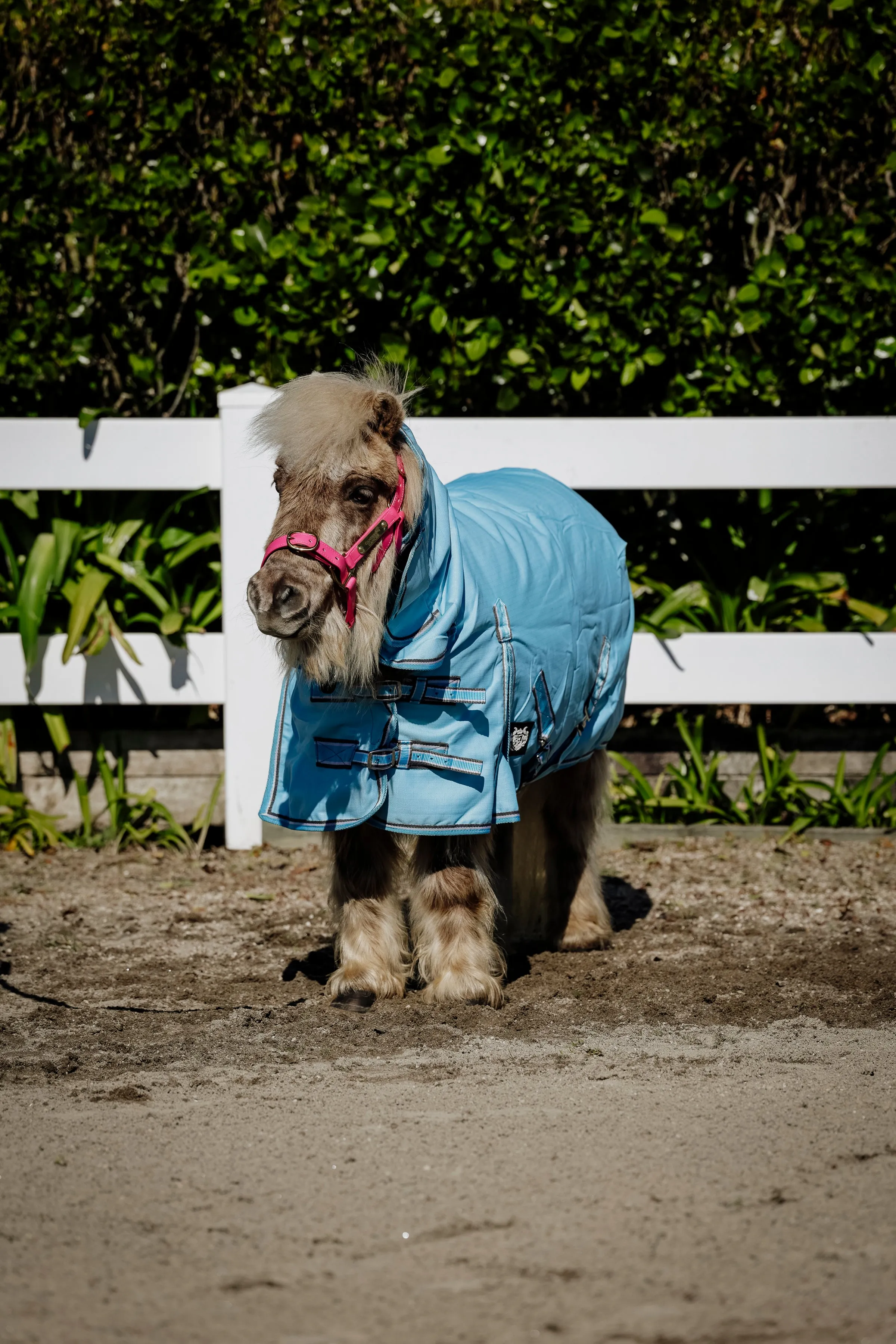 2024 1200D No Fill Spacer Lined Baby Blue Combo (Pony)