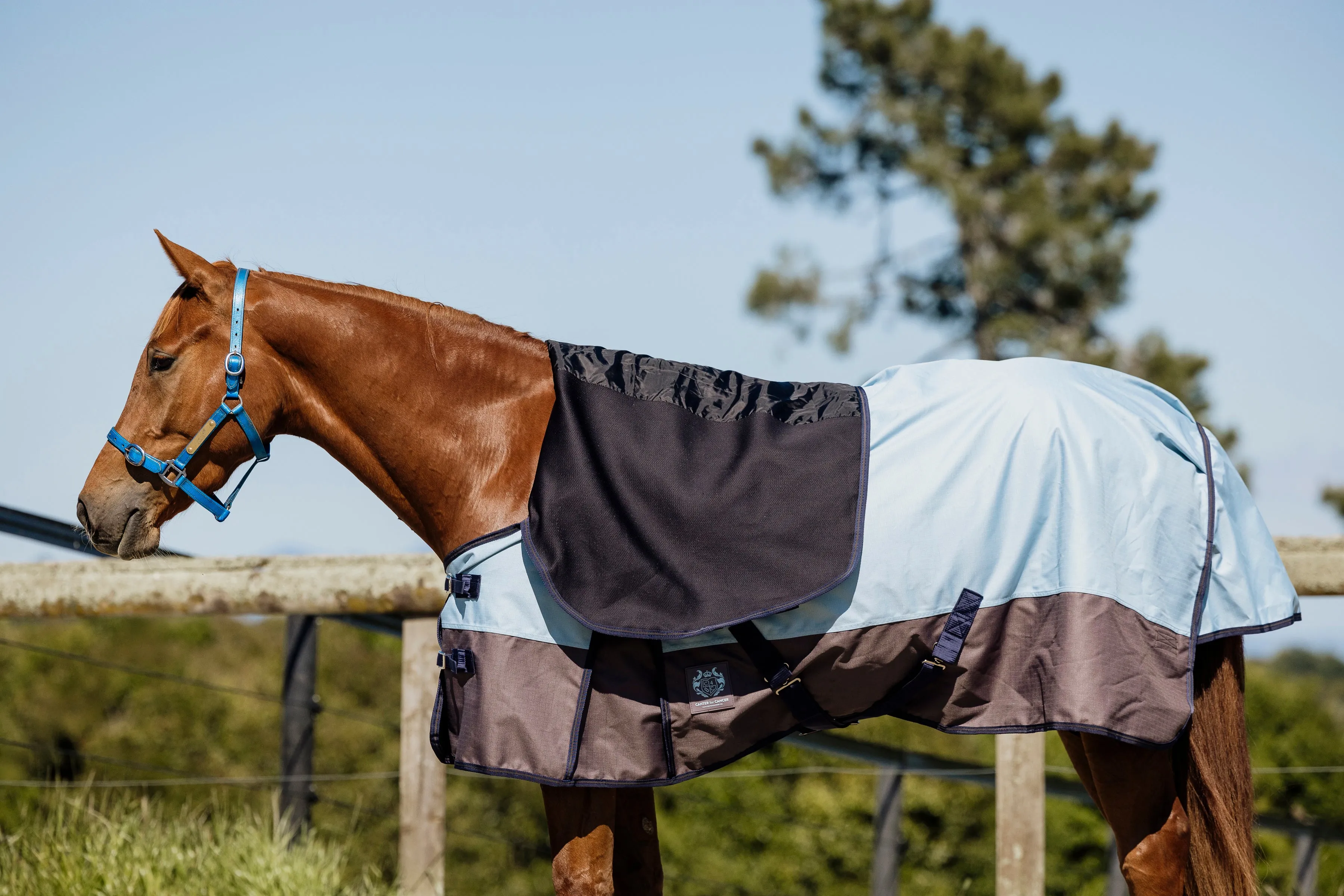 2024 1200D No Fill Spacer Lined Baby Blue Combo (Pony)
