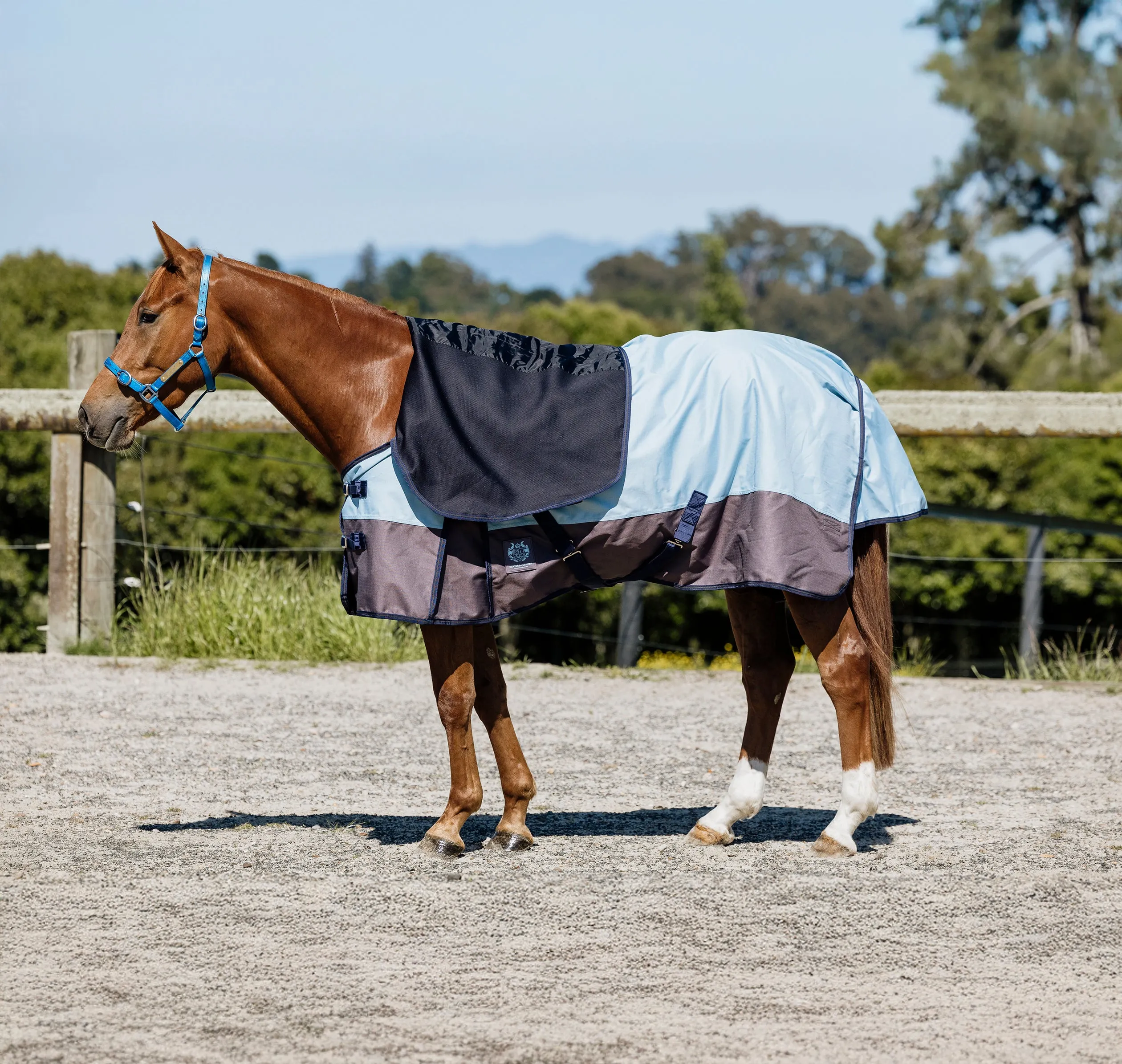 2024 1200D No Fill Spacer Lined Baby Blue Combo (Pony)