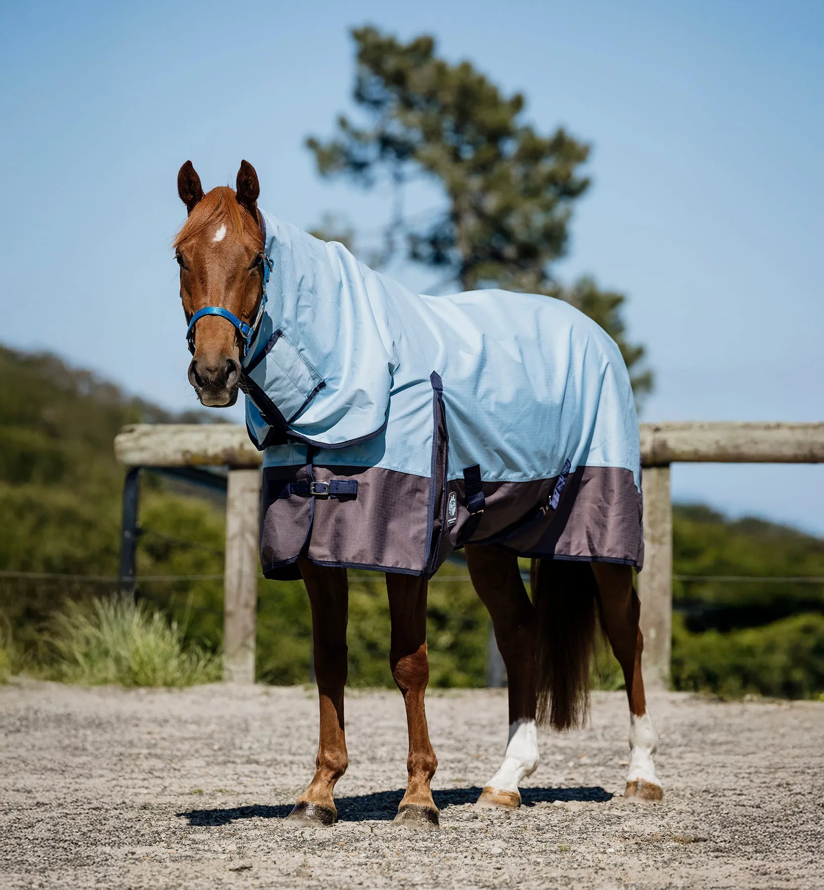 2024 1200D No Fill Spacer Lined Baby Blue Combo (Pony)